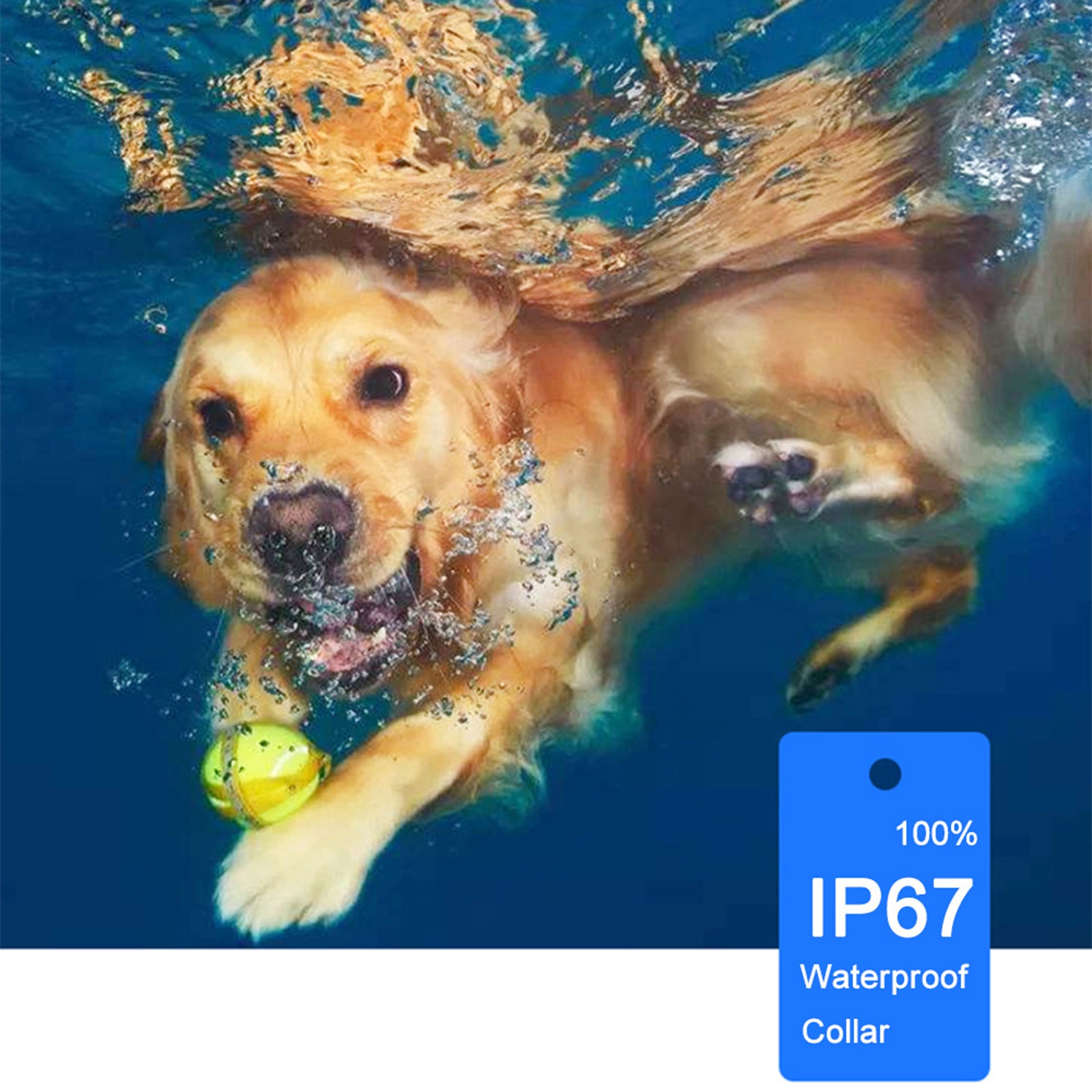 Electric Dog Training Collar Rechargeable IP67 Waterproof Electric Shock Collar for Dogs Electric Dog Training Collar Rechargeable IP67 Waterproof Electric Shock Collar for Dogs